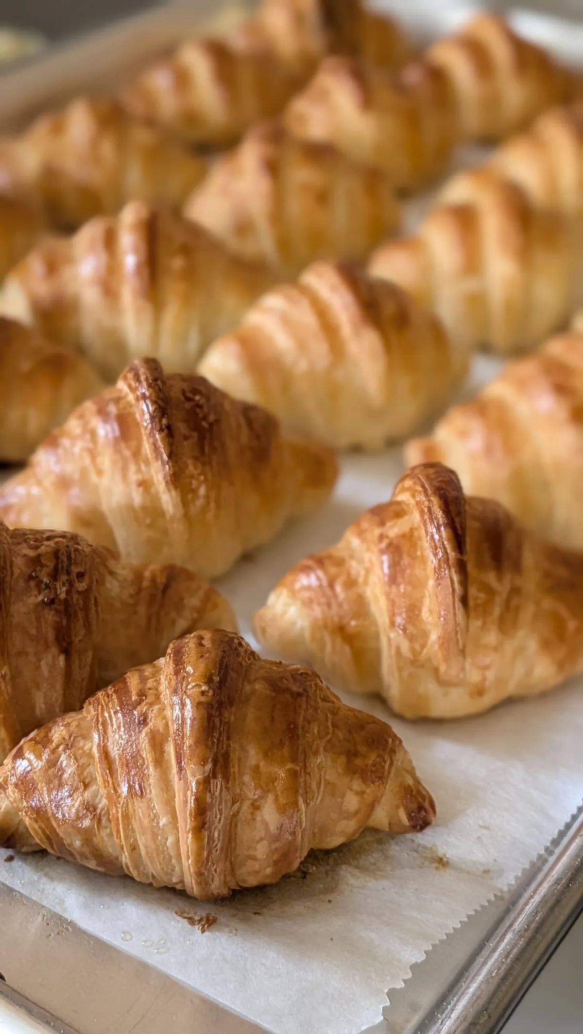 Docena Mini Croissant Natural